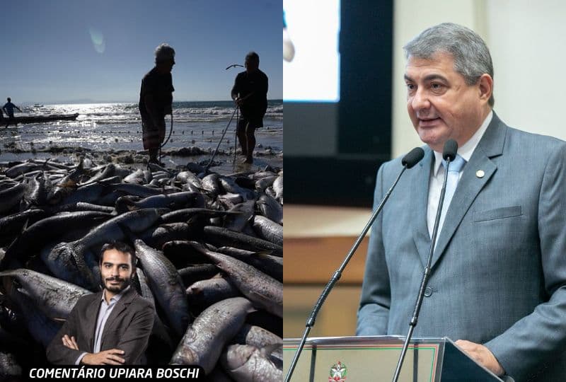 Pesca da Tainha e Disputa pelo Senado Agitam a Política Catarinense para 2026